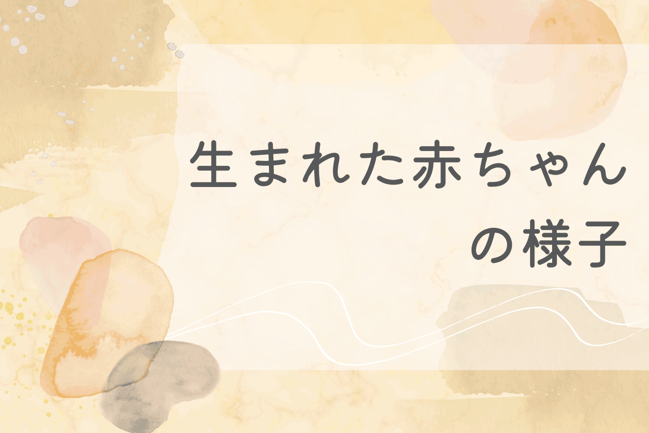 生まれた赤ちゃんの様子について